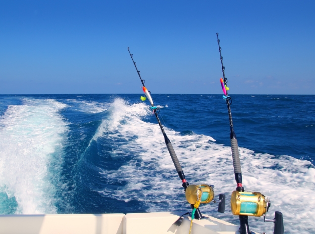 Two fishing poles over the side of a boat